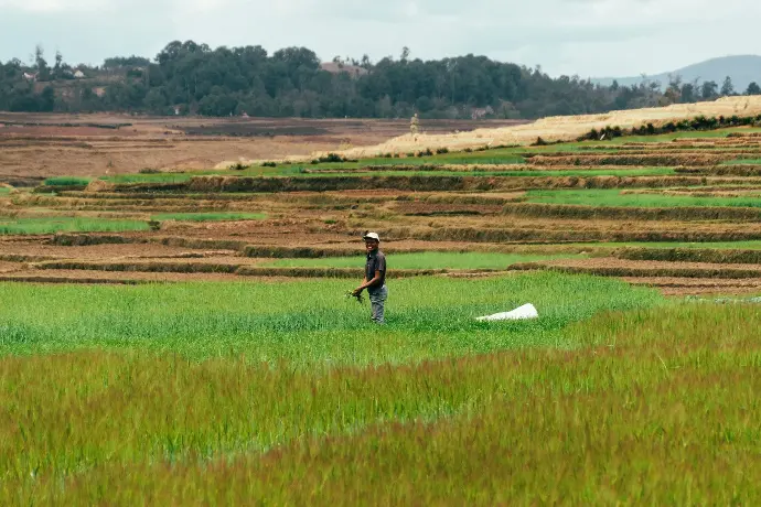 a man standing in a field with a kite